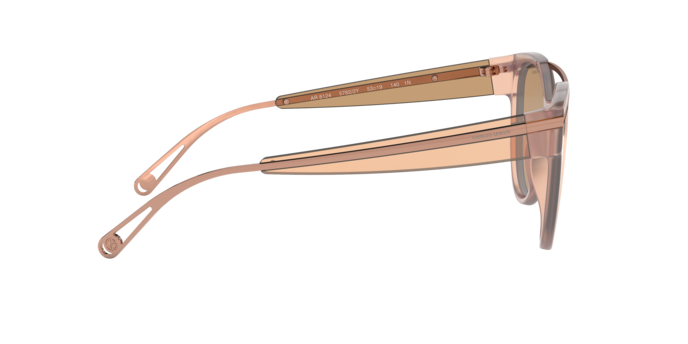 Giorgio Armani Sunglasses AR8124 57822Y