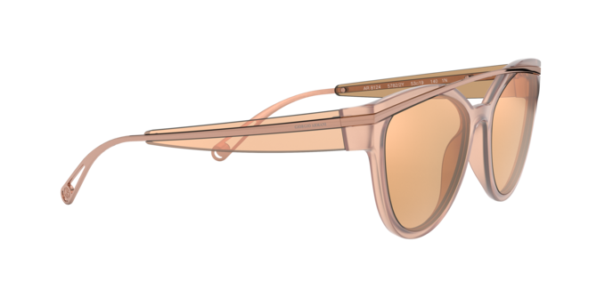 Giorgio Armani Sunglasses AR8124 57822Y