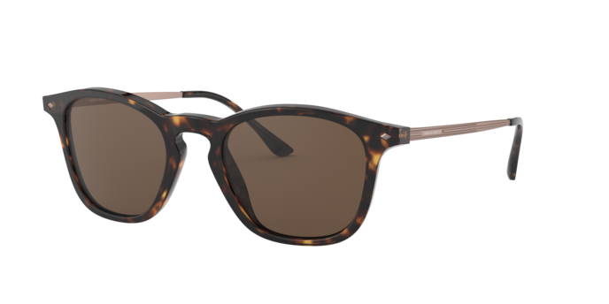 Giorgio Armani Sunglasses AR8128 502673