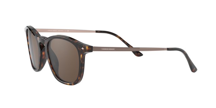 Giorgio Armani Sunglasses AR8128 502673