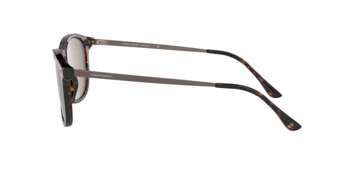 Giorgio Armani Sunglasses AR8128 502673
