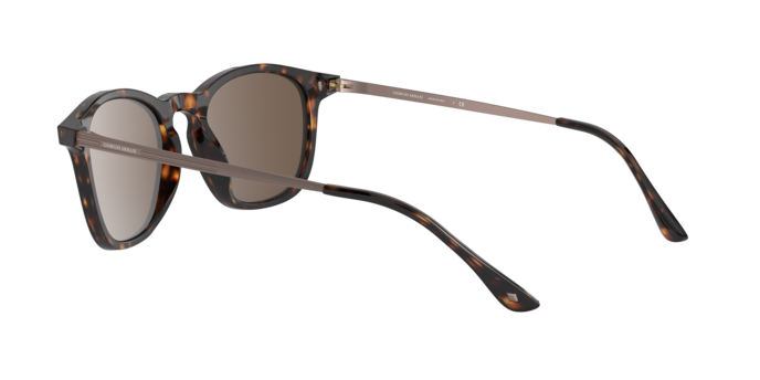 Giorgio Armani Sunglasses AR8128 502673