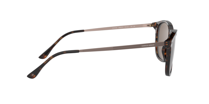 Giorgio Armani Sunglasses AR8128 502673