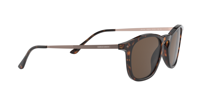 Giorgio Armani Sunglasses AR8128 502673