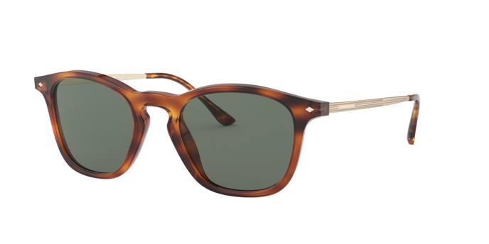 Giorgio Armani Sunglasses AR8128 58109A
