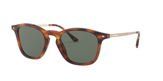 Giorgio Armani Sunglasses AR8128 58109A