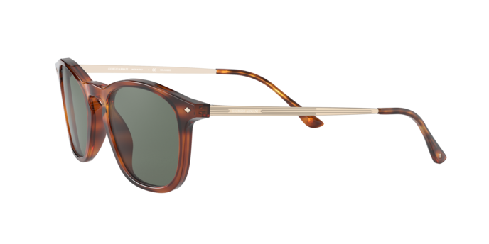 Giorgio Armani Sunglasses AR8128 58109A