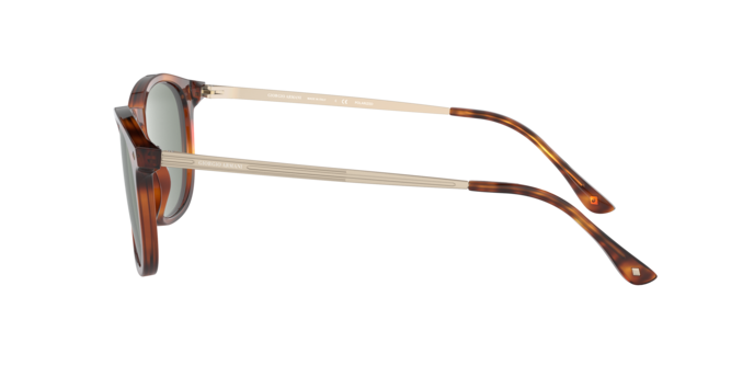 Giorgio Armani Sunglasses AR8128 58109A