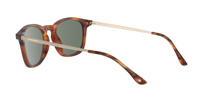 Giorgio Armani Sunglasses AR8128 58109A