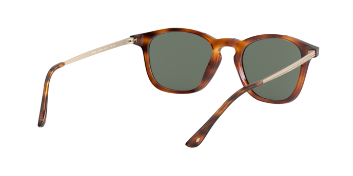 Giorgio Armani Sunglasses AR8128 58109A