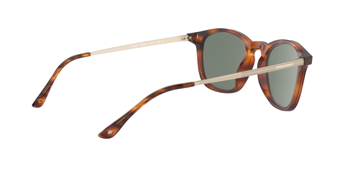Giorgio Armani Sunglasses AR8128 58109A