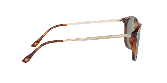 Giorgio Armani Sunglasses AR8128 58109A