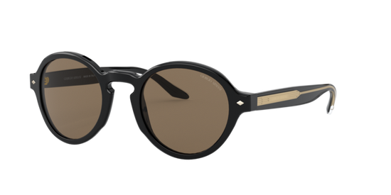 Giorgio Armani Sunglasses AR8130 500173