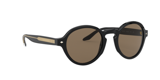 Giorgio Armani Sunglasses AR8130 500173