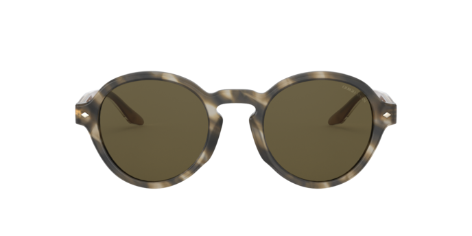 Giorgio Armani Sunglasses AR8130 577573