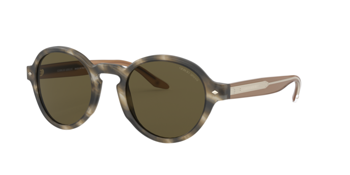 Giorgio Armani Sunglasses AR8130 577573