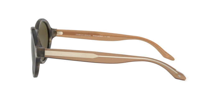 Giorgio Armani Sunglasses AR8130 577573