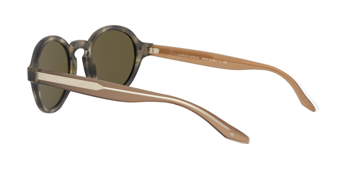 Giorgio Armani Sunglasses AR8130 577573