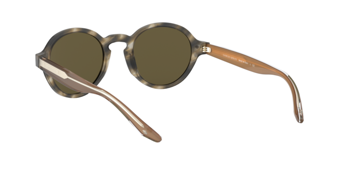 Giorgio Armani Sunglasses AR8130 577573