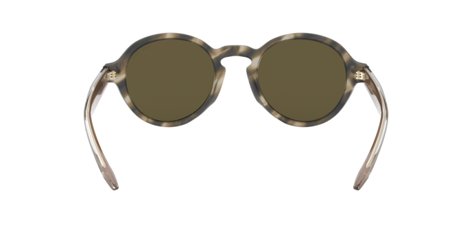 Giorgio Armani Sunglasses AR8130 577573