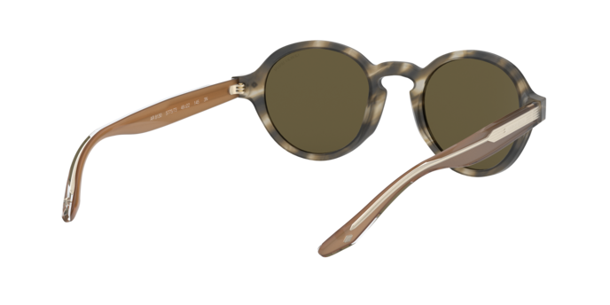 Giorgio Armani Sunglasses AR8130 577573