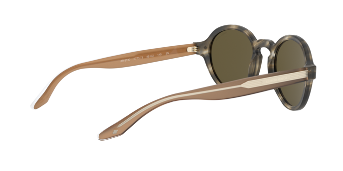 Giorgio Armani Sunglasses AR8130 577573