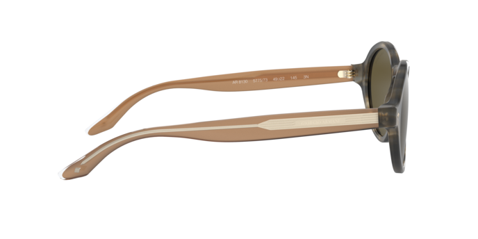 Giorgio Armani Sunglasses AR8130 577573