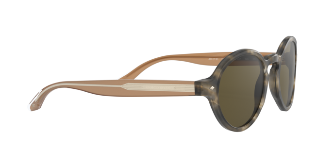 Giorgio Armani Sunglasses AR8130 577573