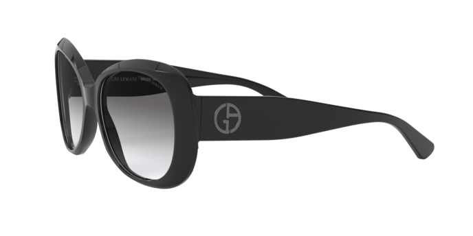 Giorgio Armani Sunglasses AR8132 500111