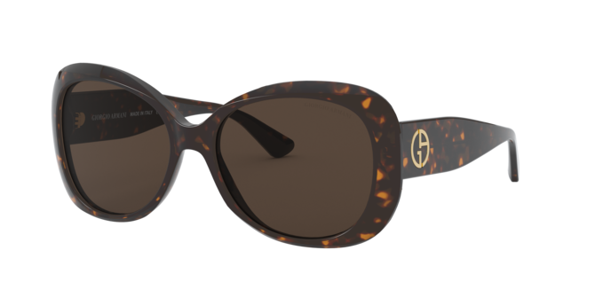 Giorgio Armani Sunglasses AR8132 502673