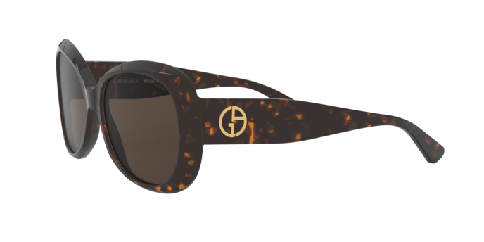 Giorgio Armani Sunglasses AR8132 502673