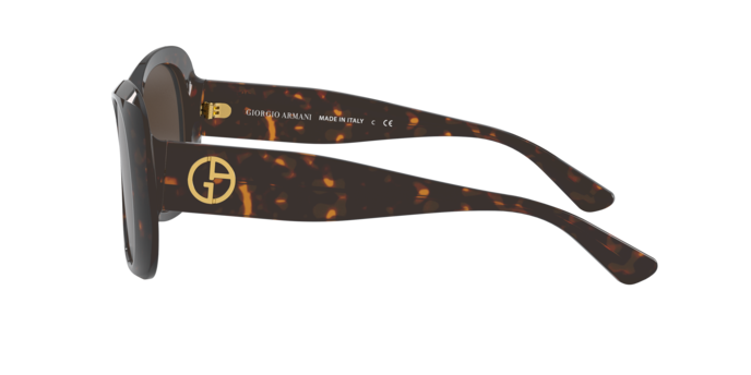 Giorgio Armani Sunglasses AR8132 502673