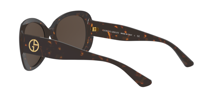 Giorgio Armani Sunglasses AR8132 502673