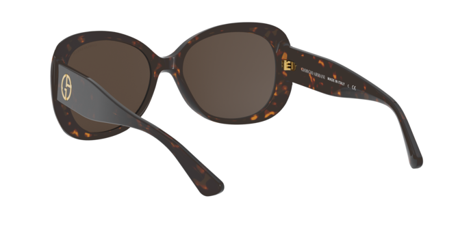 Giorgio Armani Sunglasses AR8132 502673