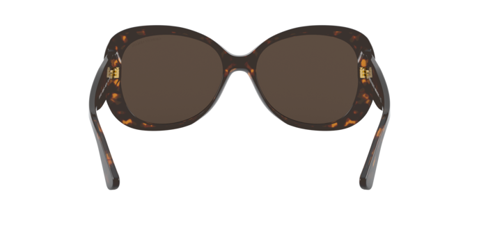 Giorgio Armani Sunglasses AR8132 502673