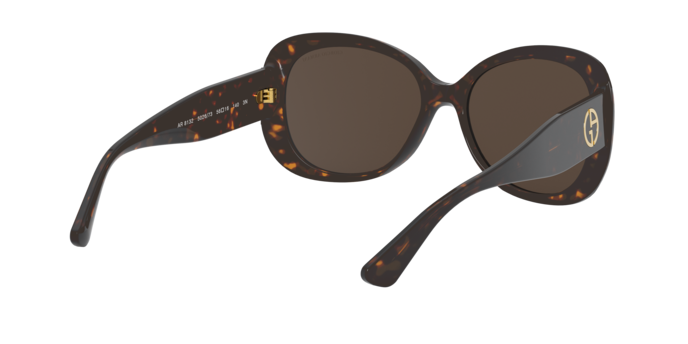 Giorgio Armani Sunglasses AR8132 502673