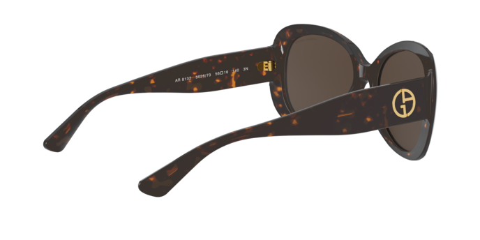 Giorgio Armani Sunglasses AR8132 502673