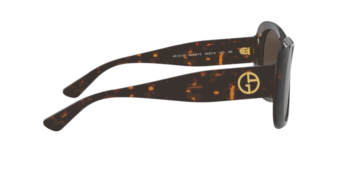 Giorgio Armani Sunglasses AR8132 502673