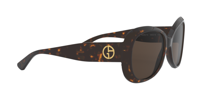 Giorgio Armani Sunglasses AR8132 502673