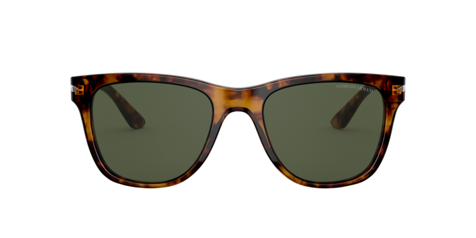 Giorgio Armani Sunglasses AR8133 509273