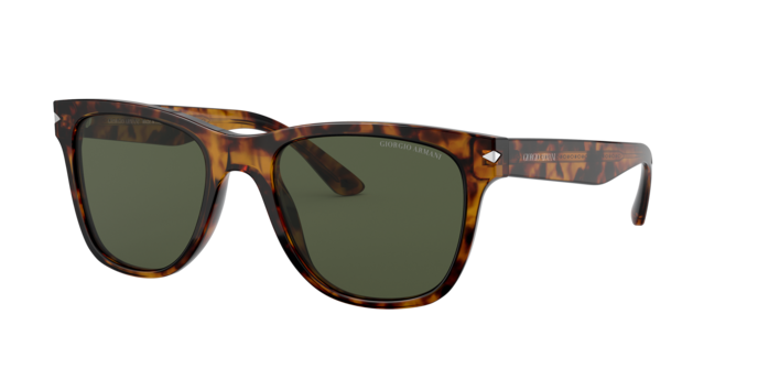 Giorgio Armani Sunglasses AR8133 509273