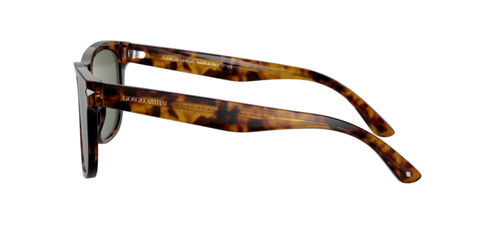 Giorgio Armani Sunglasses AR8133 509273