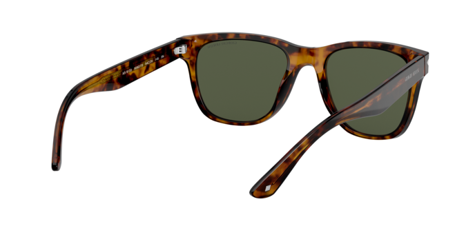 Giorgio Armani Sunglasses AR8133 509273