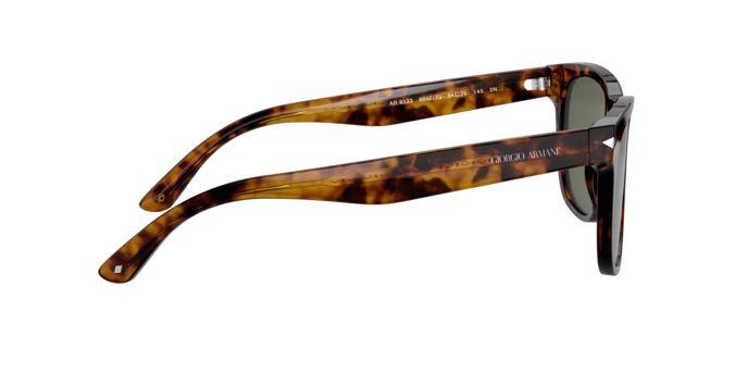 Giorgio Armani Sunglasses AR8133 509273