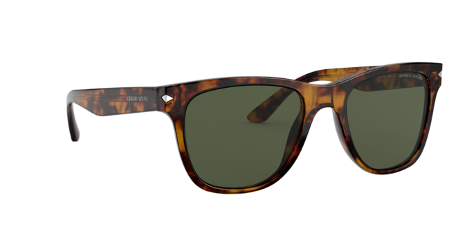 Giorgio Armani Sunglasses AR8133 509273