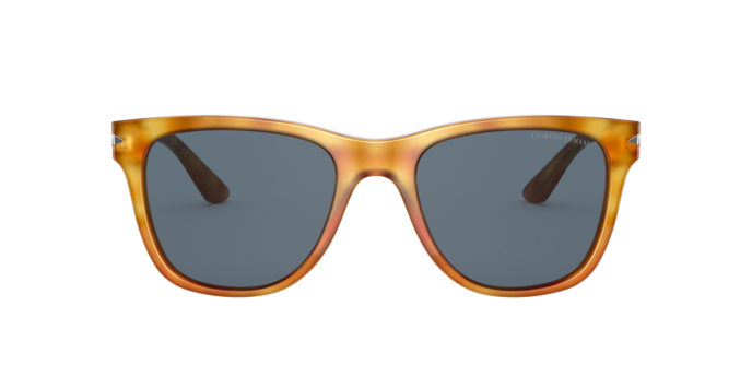 Giorgio Armani Sunglasses AR8133 584980