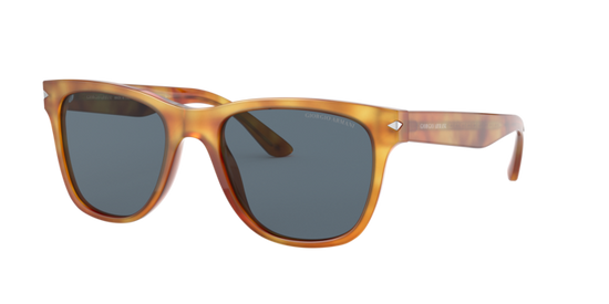 Giorgio Armani Sunglasses AR8133 584980