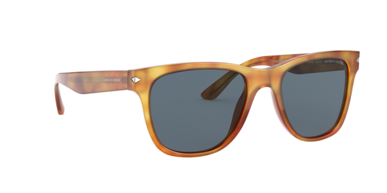 Giorgio Armani Sunglasses AR8133 584980