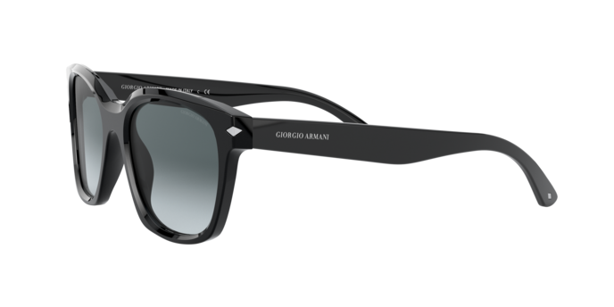Giorgio Armani Sunglasses AR8134 500111
