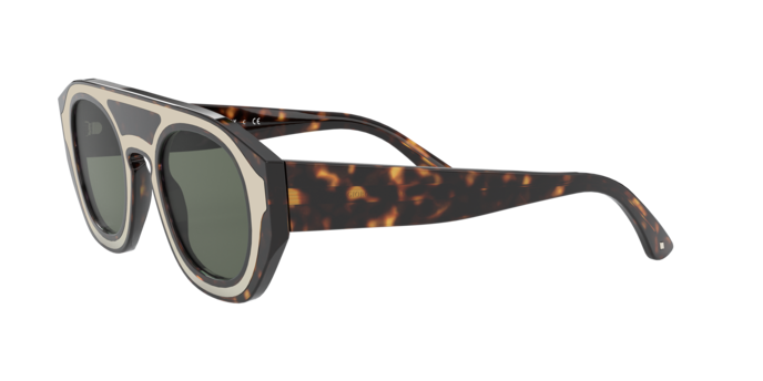 Giorgio Armani Sunglasses AR8135 502671